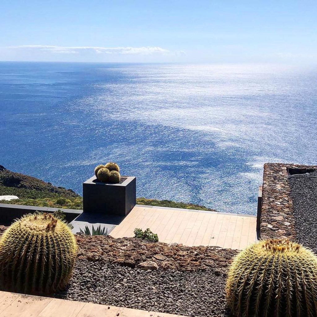 Ecosistema xerófilo en Canarias