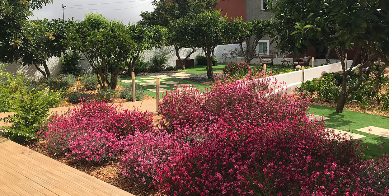 Jardín ecológico con flores gavias en La Esperanza
