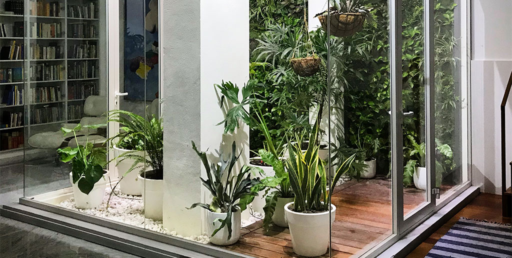 Biogarden Tenerife - Diseño de jardines de interior