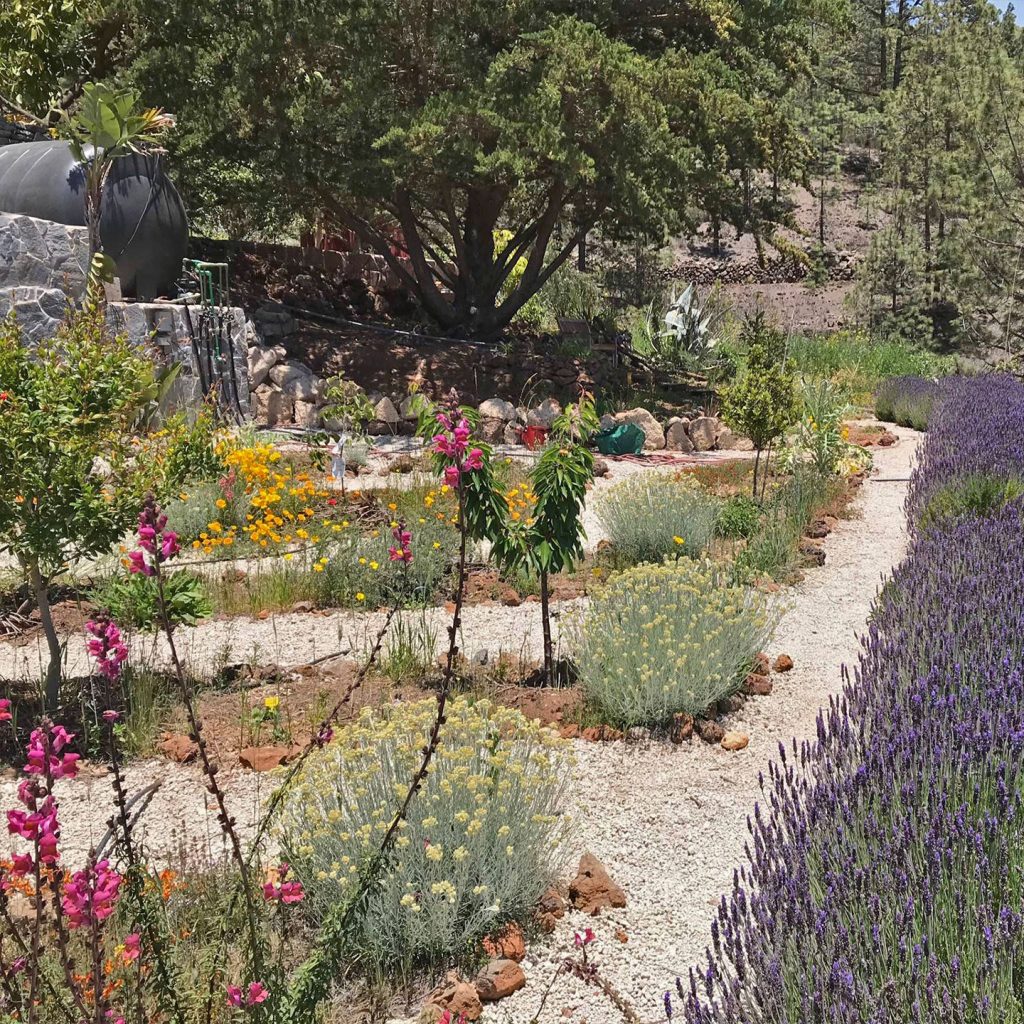 Biogarden Tenerife - Jardín ecológico agroalimentario en Viilaflor
