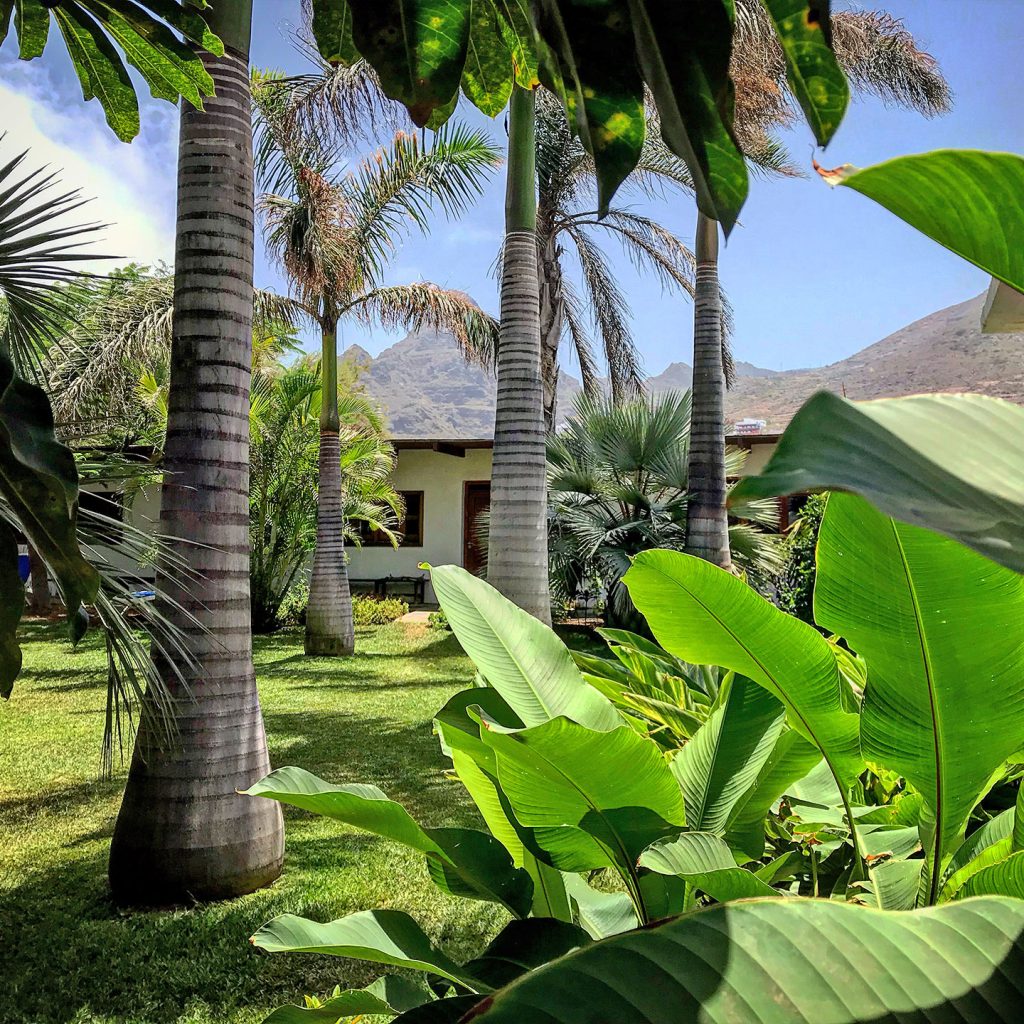 Biogarden Tenerife - Jardín tropical con palmeras y heliconias en Punta del Hidalgo