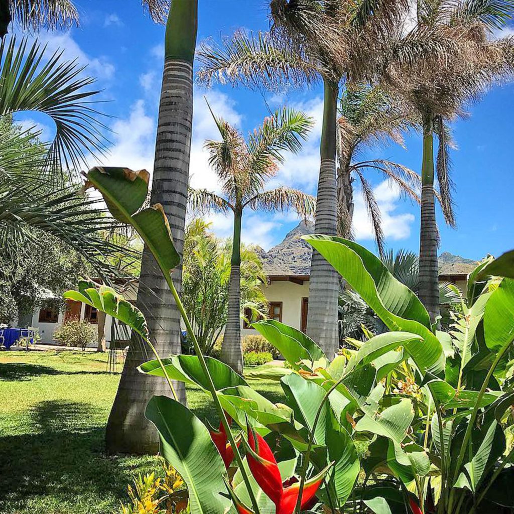 Biogarden Tenerife - Jardín tropical de palmeras y heliconias en Punta del Hidalgo