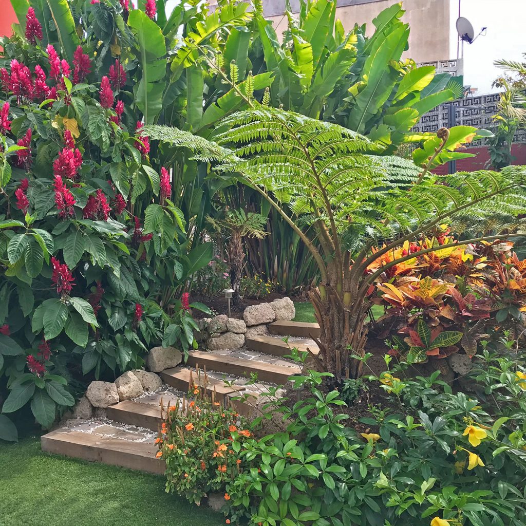 Diseño de jardín tropical en Santa Cruz de Tenerife