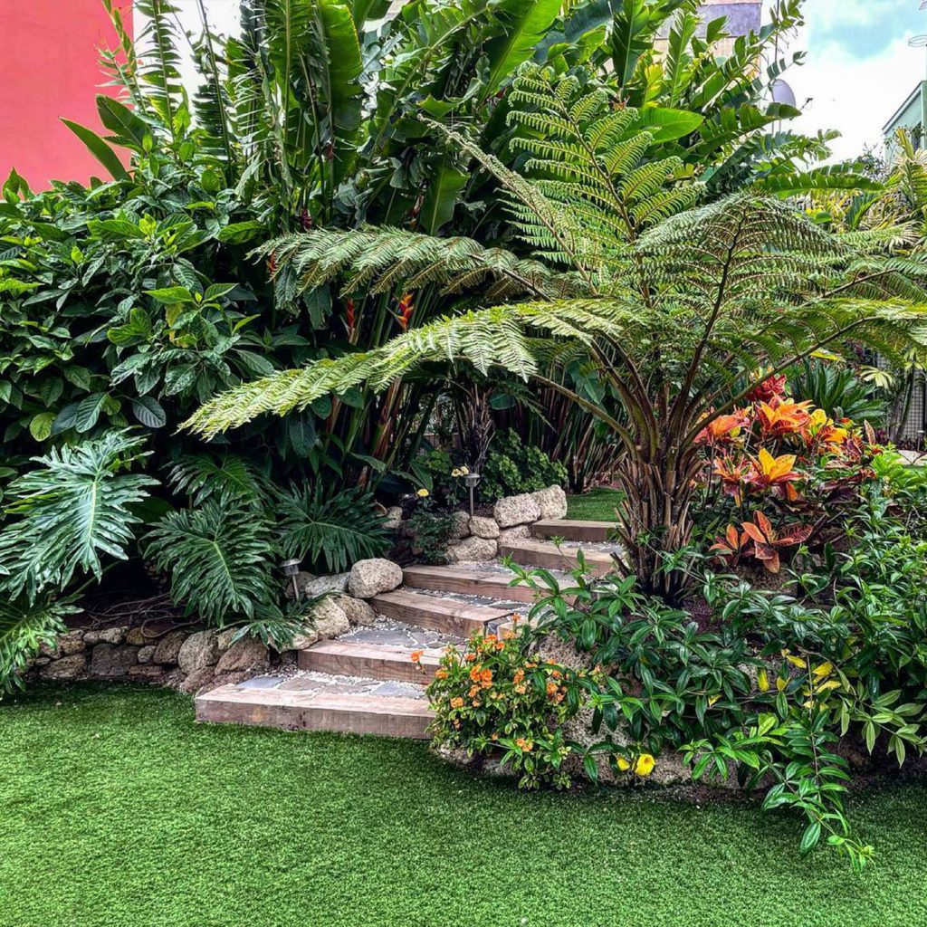 Diseño de jardín tropical en Santa Cruz de Tenerife