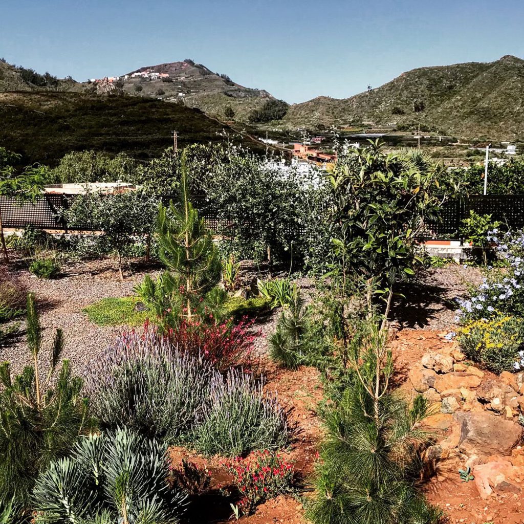 Jardín ecológico con biodiversidad en Tenerife