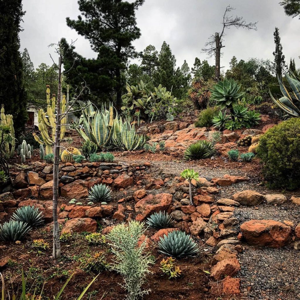 Jardín seco ecológico en Tenerife